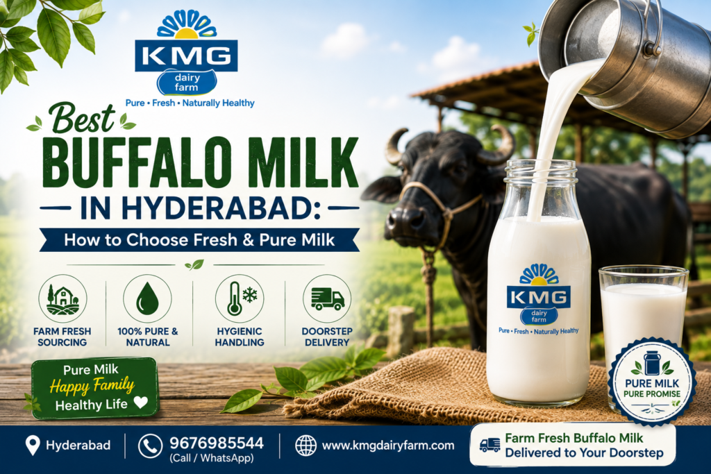 Best buffalo milk in Hyderabad from KMG Dairy Farm